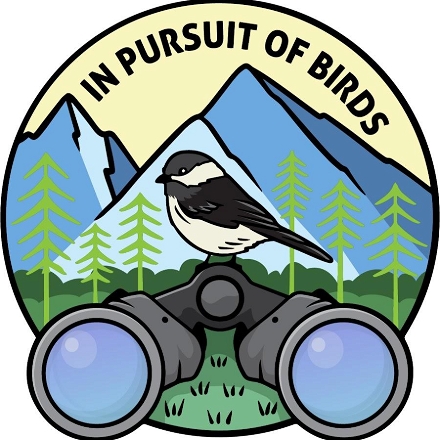 In Pursuit of Birds